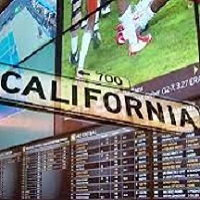 California Sports Betting Vote: Tribal Perspective